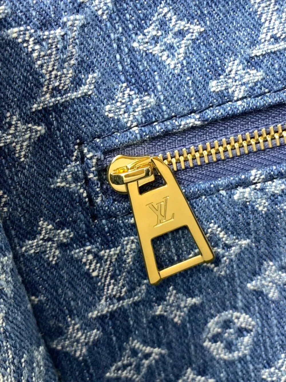 Louis Vuitton OnTheGo PM Tote Bag